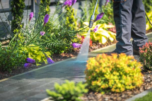 San Lorenzo, CA Pressure Washing Services Company
